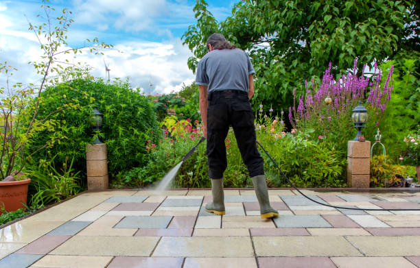 Best Sidewalk and Walkway Cleaning  in Ashland, AL